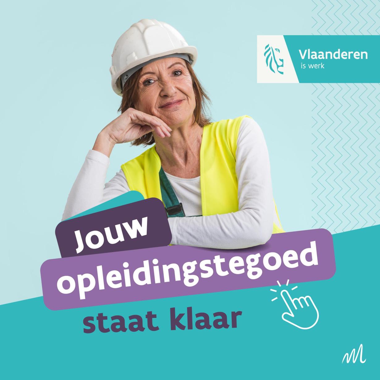 vormingstegoed Vlaams Opleidingsverlof 1